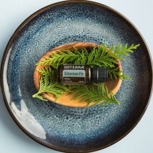 сибирска ела