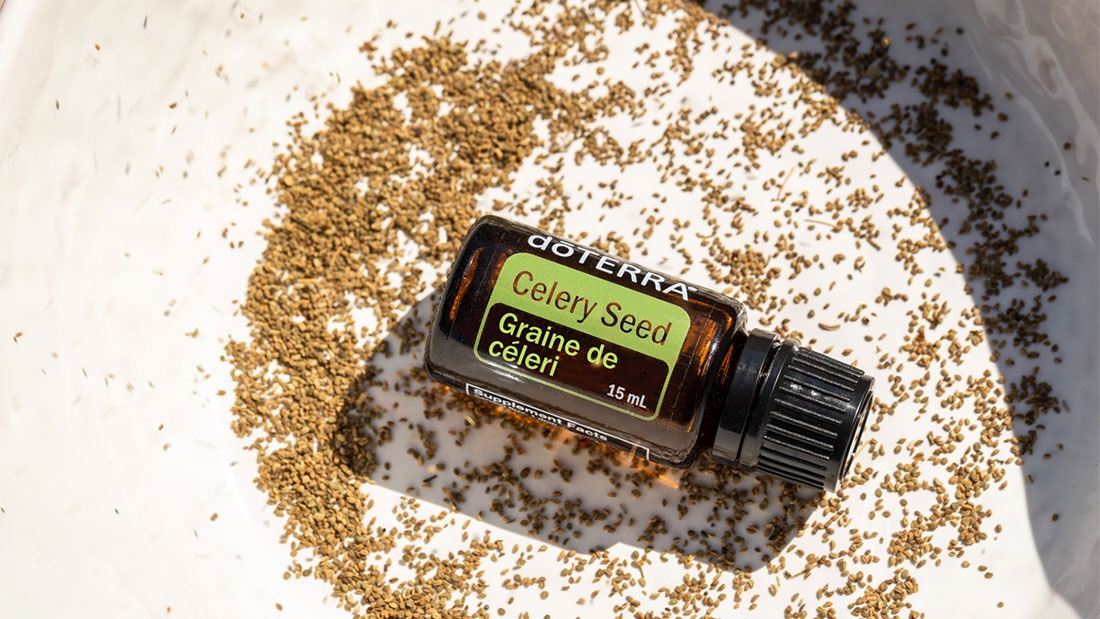 Celery Seed (Семена от целина) 15 мл