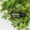 Cilantro (Силантро) 15 ml