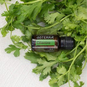 Cilantro (Силантро) 15 ml