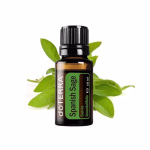 Испанска салвия
