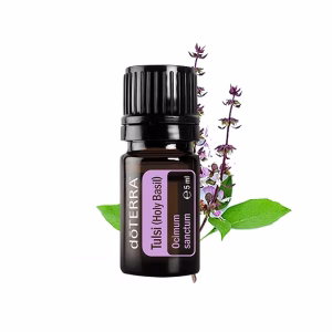 свещен босилек