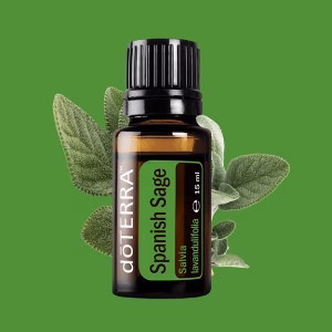 Испанска салвия