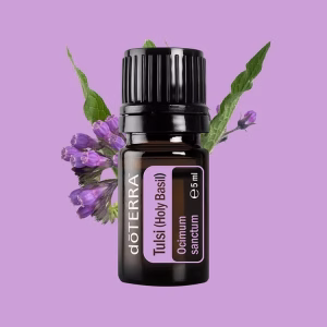 свещен босилек