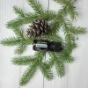 Black Spruce (Черен смърч) Picea mariana 5 мл