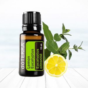 Lemon Eucalyptus (Лимонен евкалипт) Eucalyptus citriodora