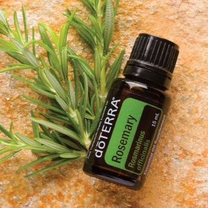 Rosemary (Розмарин) Rosmarinus officinalis 15 ml