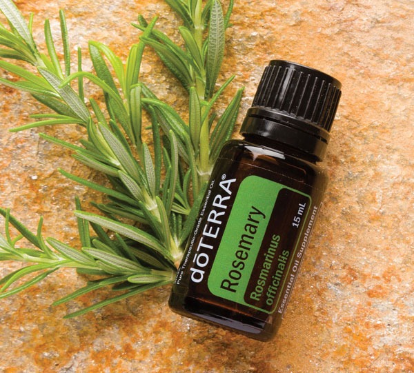 Rosemary (Розмарин) Rosmarinus officinalis 15 ml