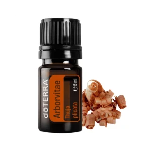 Arborvitae - Туя 5мл