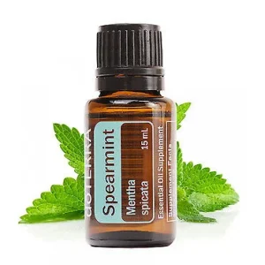 Spearmint (Сладка мента) Mentha spicata 15 мл