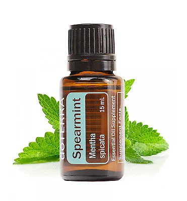 Spearmint (Сладка мента) Mentha spicata 15 мл