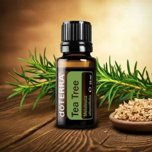 Tea Tree (Чаено дърво) Melaleuca alternifolia