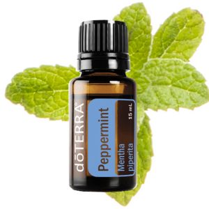 Лютива мента