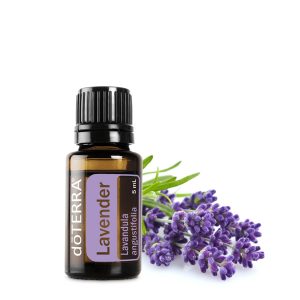 Lavender (Лавандула) Lavandula angustifolia 15ml