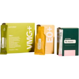 Основи на уелнеса